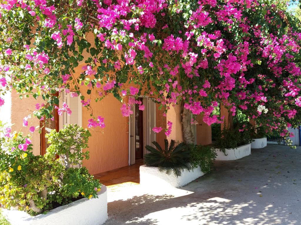 Constantinos Apartments Lassi  Exterior foto
